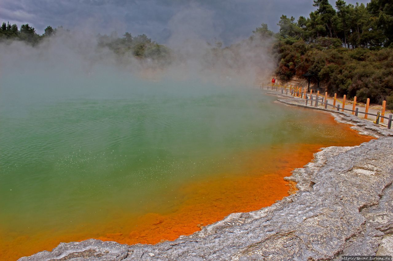 Бассейн с шампанским / Champagne Pool