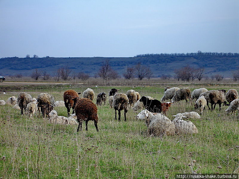 Дорога к Лысогорке Лысогорка, Россия