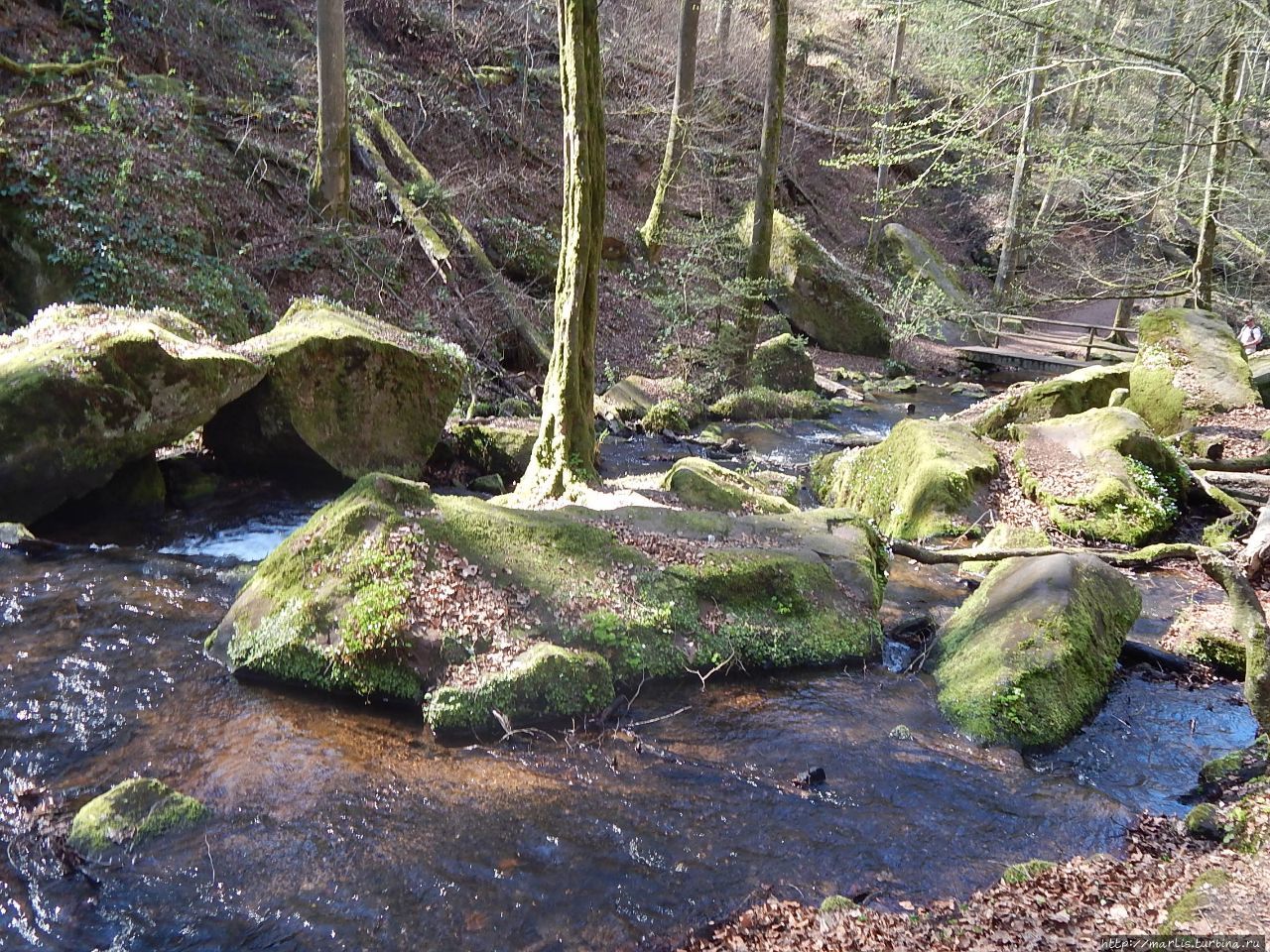 Ущелье Карлсталь Триппштат, Германия