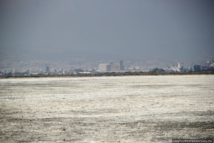 Лимасольское соляное озеро Акротири, Акротири и Декелия