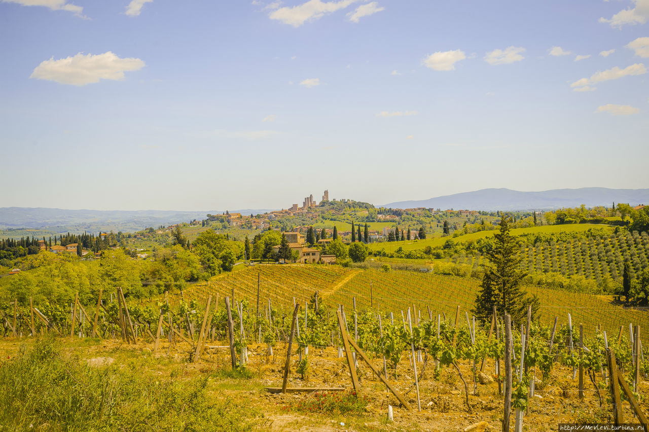 Окрестности San Gimignano Сан-Джиминьяно, Италия
