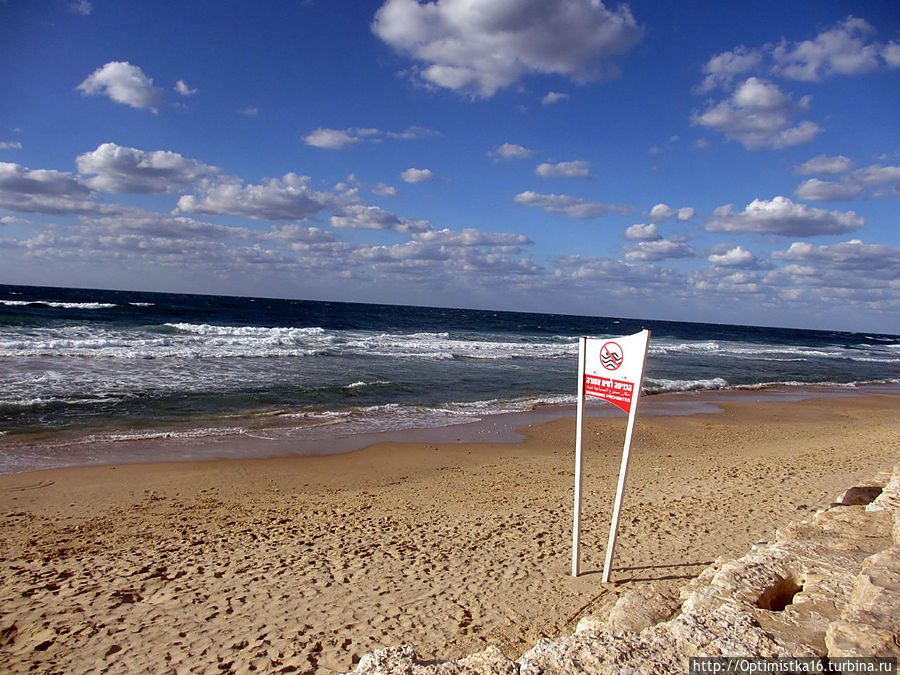 Прогулка по Тель-Авиву с Майей Тель-Авив, Израиль