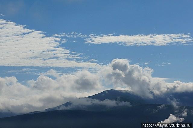 Макушка   лета.  Разнотравье,  разноцветье Южно-Сахалинск, Россия