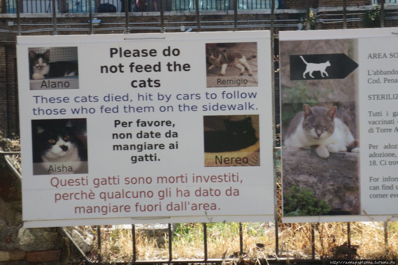 Третий день в Риме: Пантеон, Капитолий, этруски и Леонардо Рим, Италия