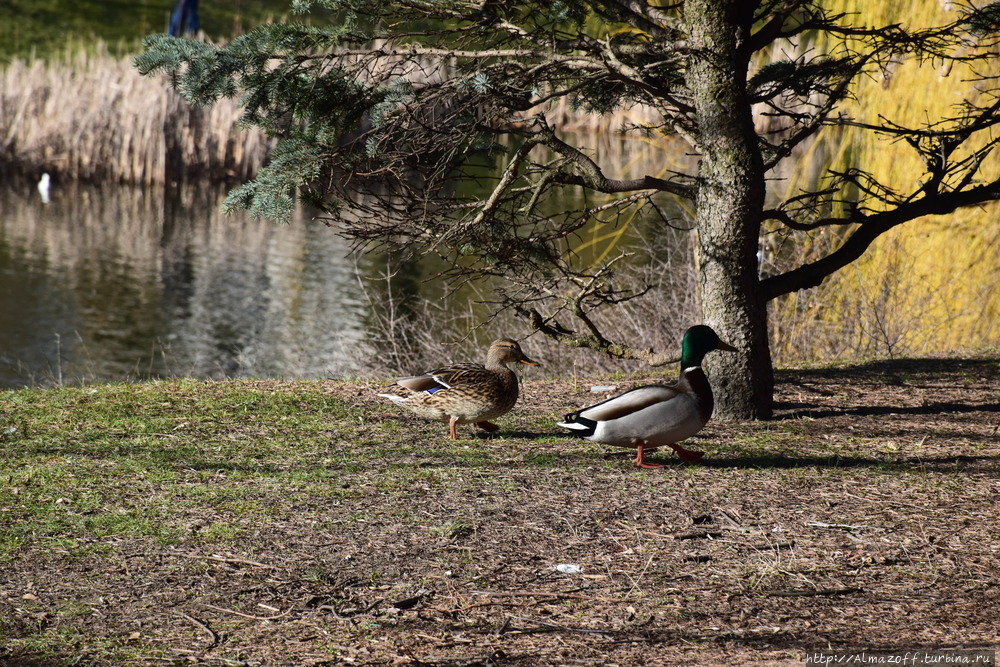 Самый комфортный район Варшавы Варшава, Польша