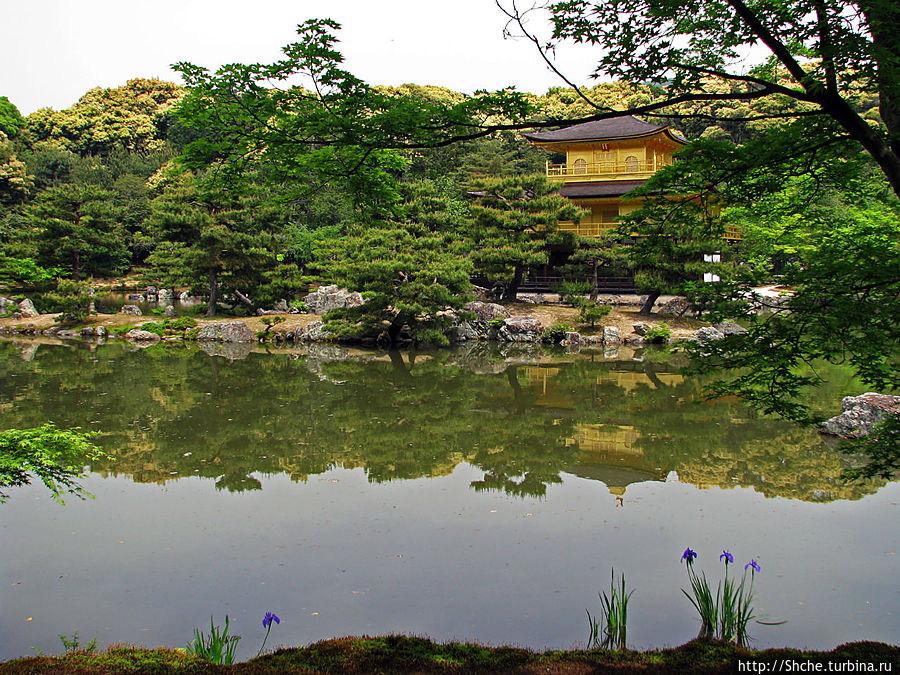 Золотой павильон на берегу зеркального водоема Киото, Япония