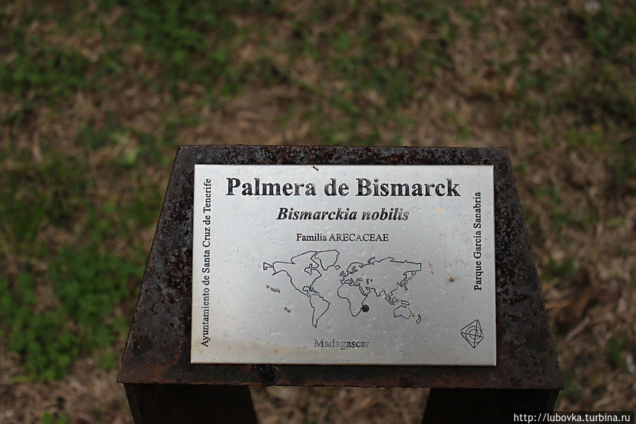 Около каждого экзота размещена табличка с названием растения и ареалом его произрастания. Санта-Крус-де-Тенерифе, остров Тенерифе, Испания