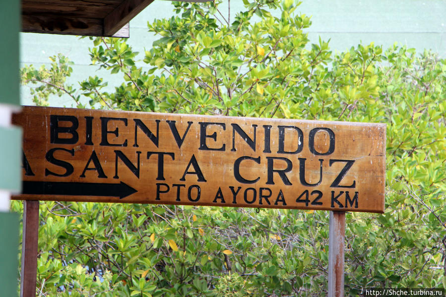 Экскурсия на остров Санта Фе — что хорошо, что плохо Остров Санта-Фе, Эквадор