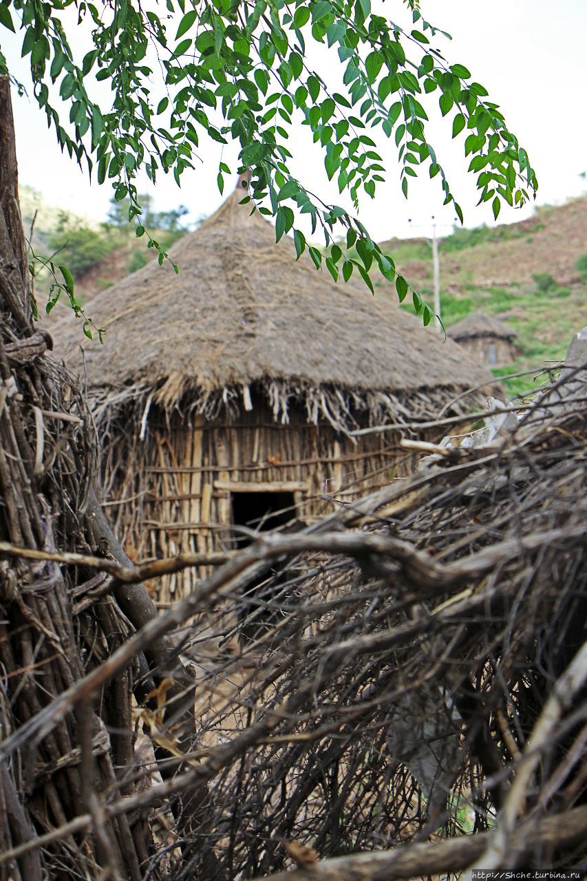 В Клаве живут красавицы-омхара Килава, Эфиопия