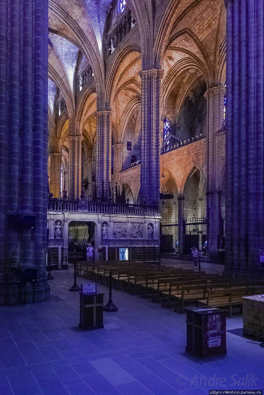 Кафедральный собор изнутри Барселона, Испания