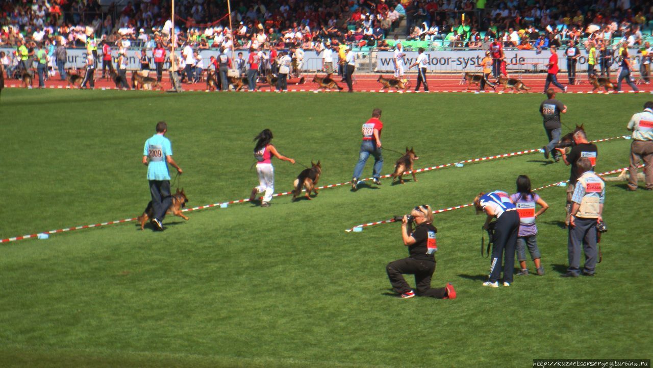 Зигер в Ульме Ульм, Германия Зигер в Ульме Ульм, Германия