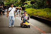 По всему парку стоят различные средства перемещения по парку. Детей можно перевозить так.