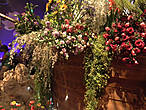 Хайфа, выставка цветов