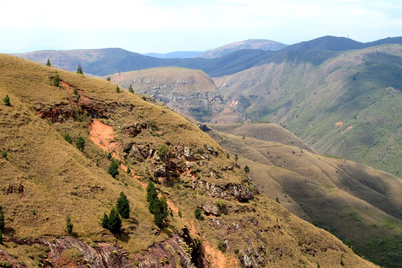 фото амугуса