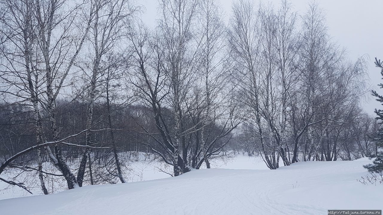 Серебряный бор Москва, Россия