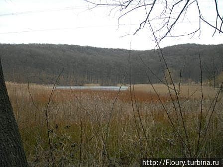 Предгорье Карпат