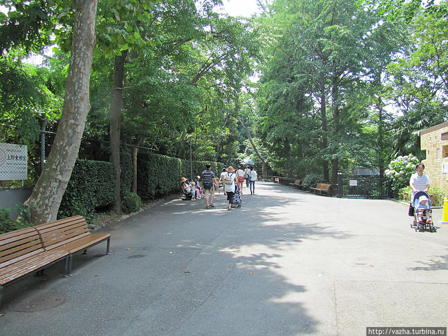 Зоопарк Уэно. Продолжение Токио, Япония