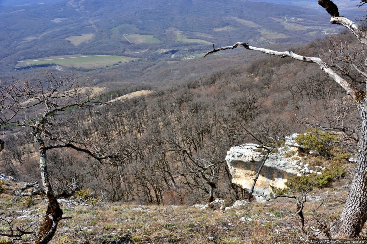 Скала Чёртов палец Даховская, Россия