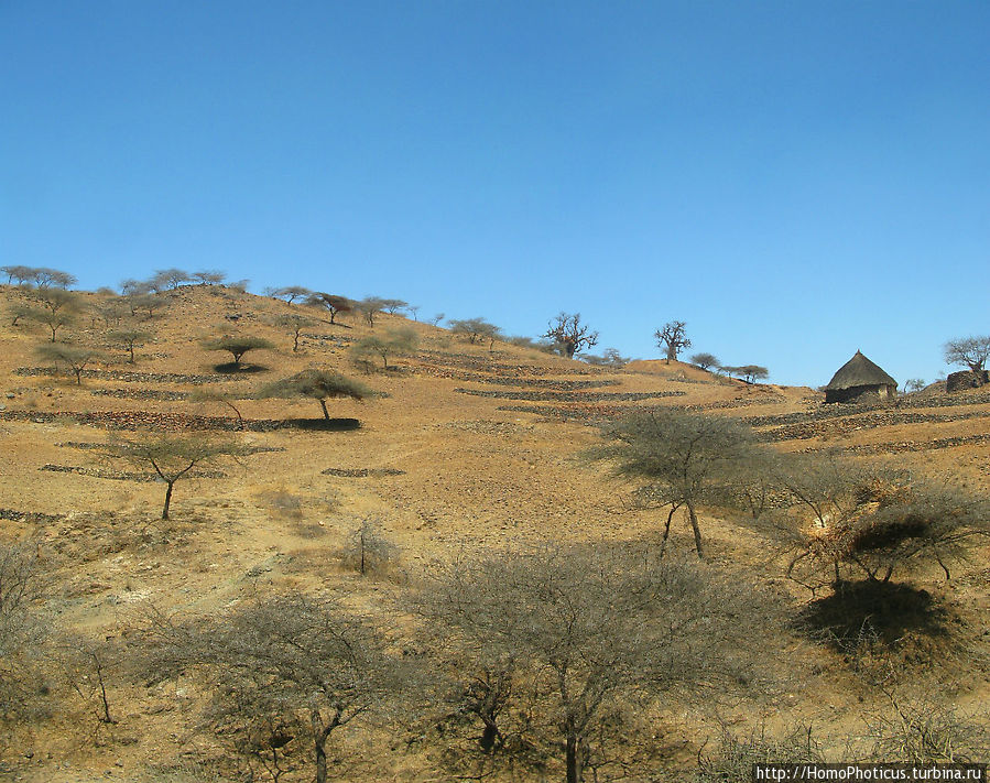 В земле тиграев и баобабов Провинция Ансэба, Эритрея
