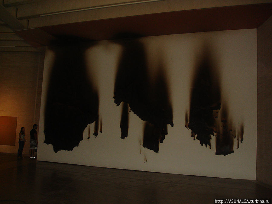 Музей современного искусства (Museo de Arte Contemporaneo)