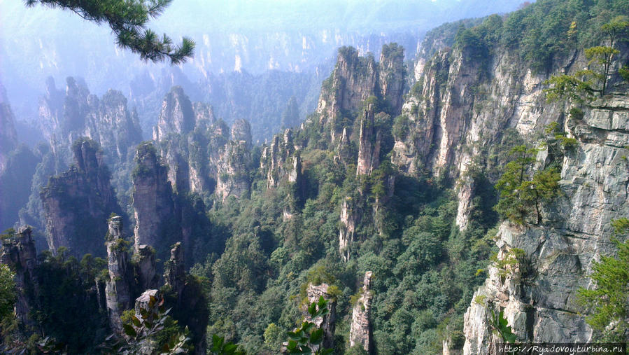 Национальные парки города Чжанцзяцзе Чжанцзяцзе Национальный Лесной Парк (Парк Аватар), Китай