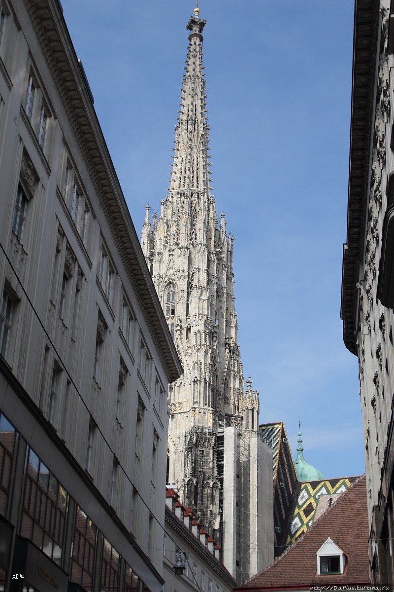 Вена, церкви — Собор Святого Стефана и Троицкий собор Вена, Австрия