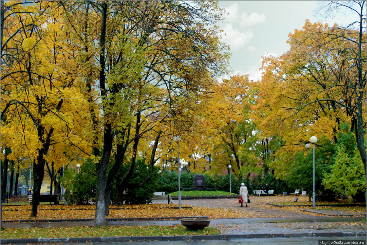 «Пошуршать листвой» в Кронштадте Кронштадт, Россия