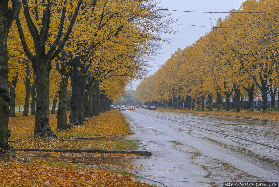 Романтическая осень в парке Аркадия Рига, Латвия