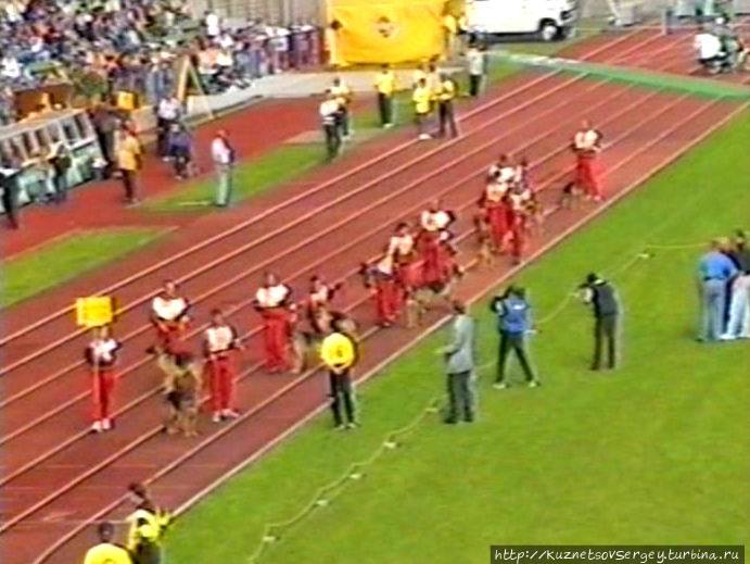 На стадионе в Карлсруэ во время Зигера Карлсруэ, Германия