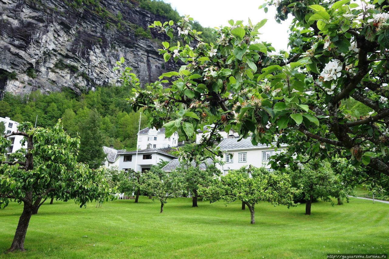 Гейрангер знакомый и новый: разрешите представиться! Гейрангер - Гейрангерфьорд, Норвегия
