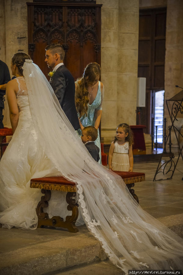 Внутри собора в Таррагоне Таррагона, Испания