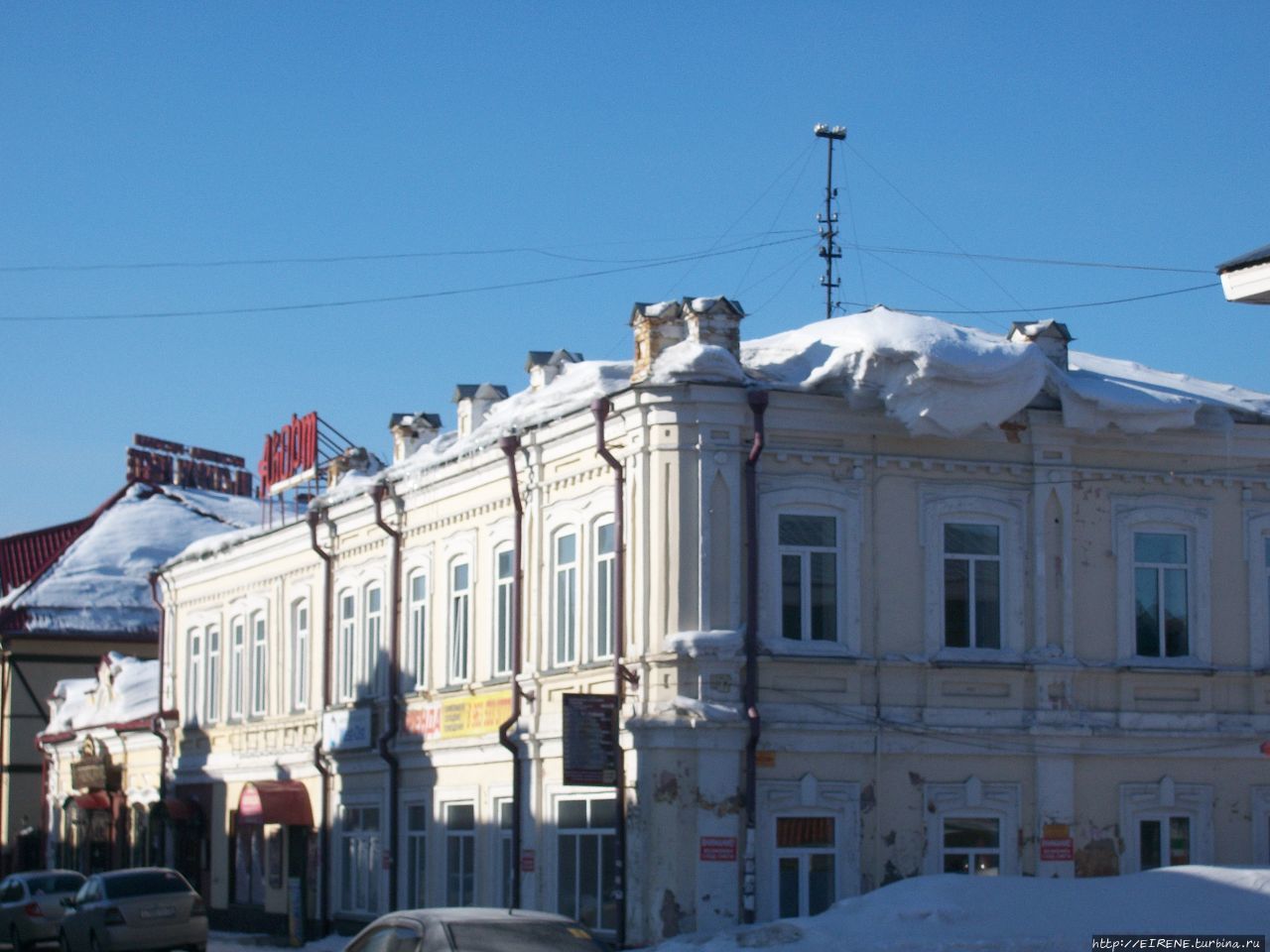 Лебединая песня из Алтайской зимовки Бийск, Россия