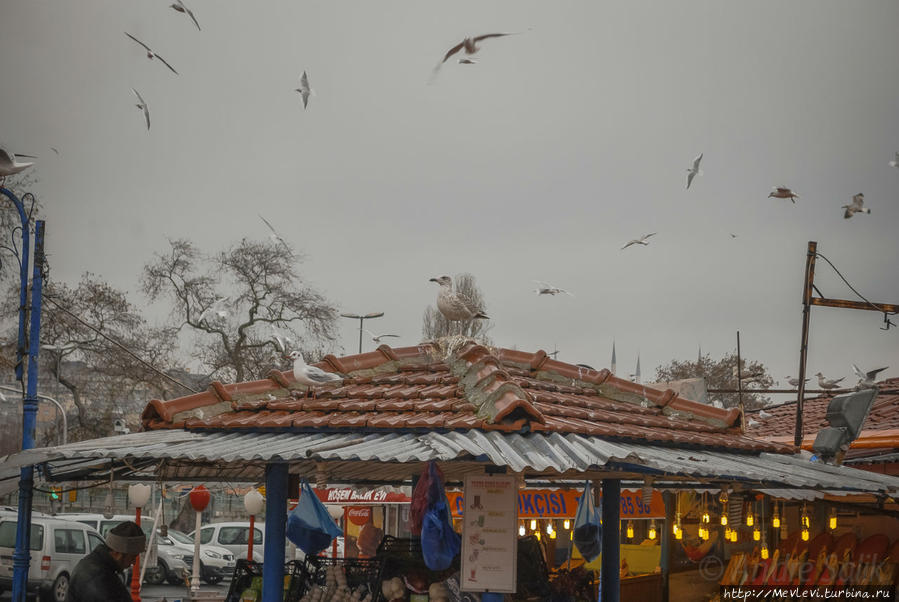Рыбный рынок Каракёй поутру, Стамбул Стамбул, Турция