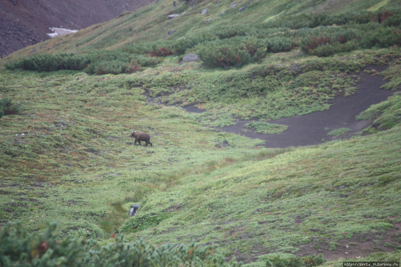 Моя Камчатка Камчатский край, Россия