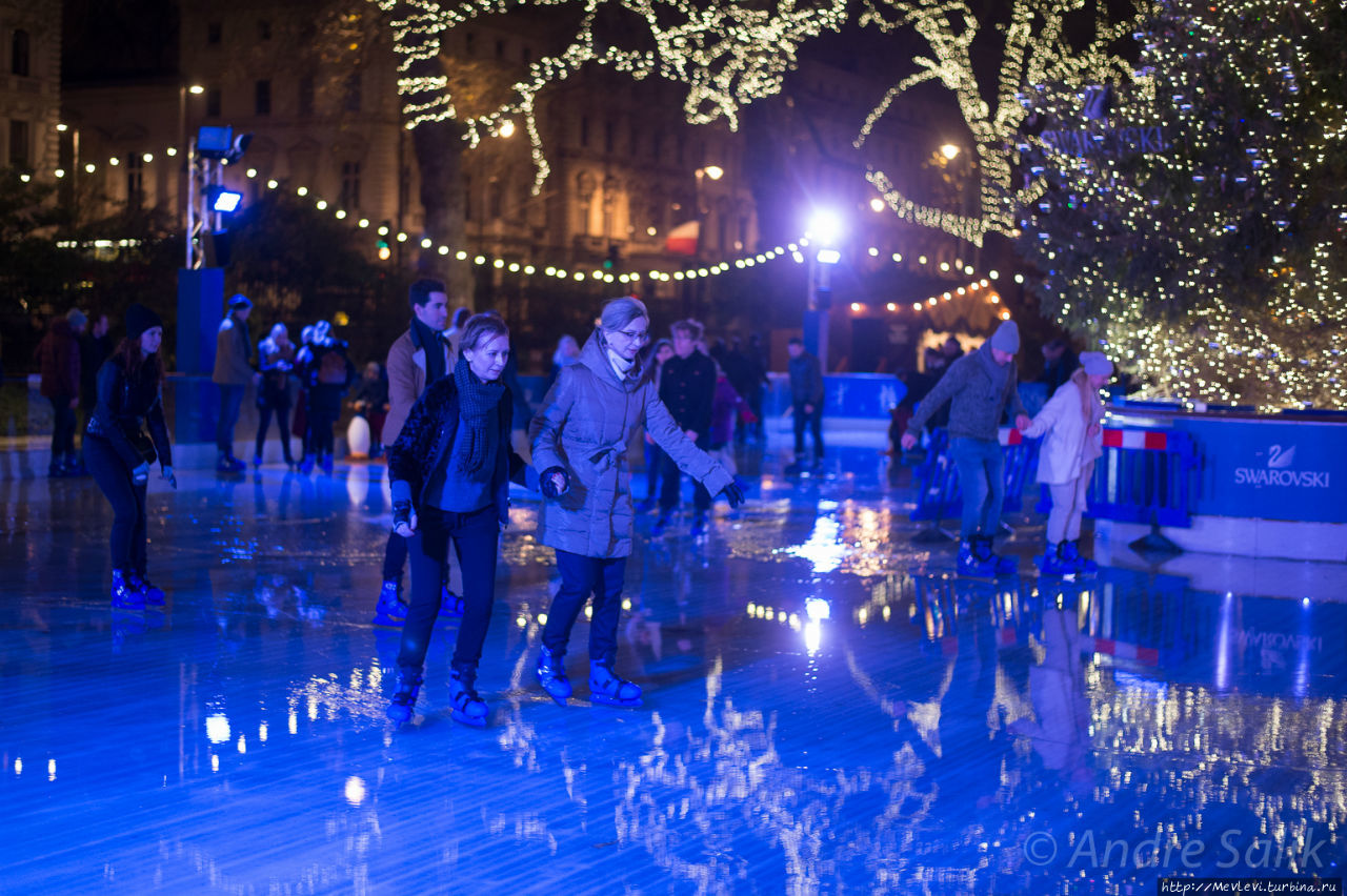 Natural History Museum Ice Rink