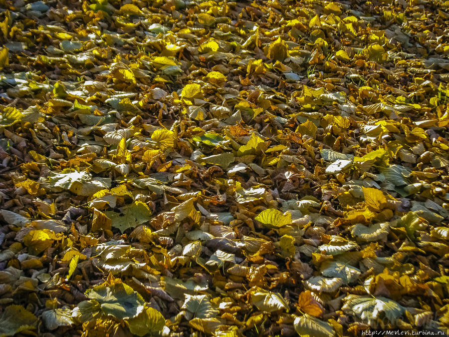 Рига в октябре Рига, Латвия