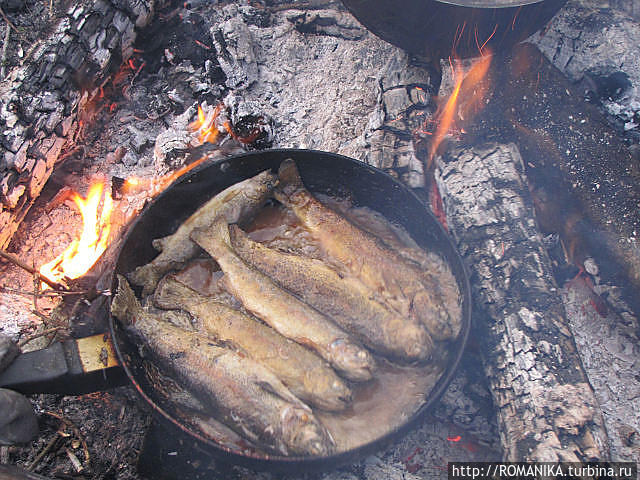 вкуснее форели я никогда не ела Кольсайские Озера Национальный Парк, Казахстан