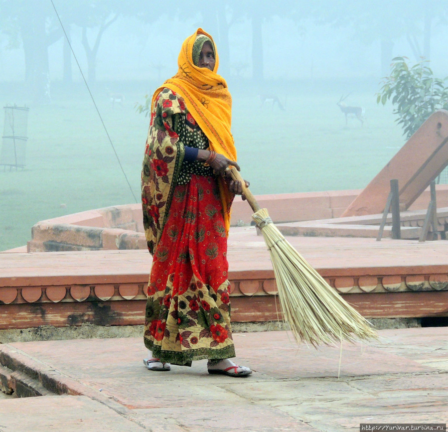 Большинство индийских женщин на любой работе и всегда носят свою красивую национальную одежду. Удобно ли в ней убирать улицы? Агра, Индия
