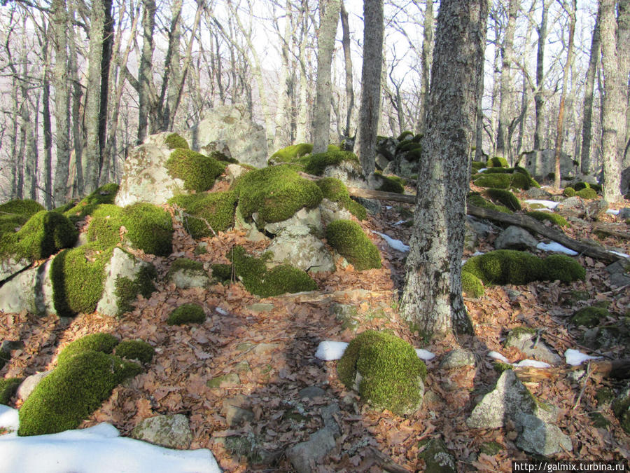 Водопады источника Ай-Йори Алушта, Россия