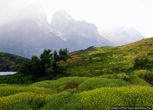Красоты горного парка Торрес-дель-Пайн в Чили Пуэрто-Наталес, Чили