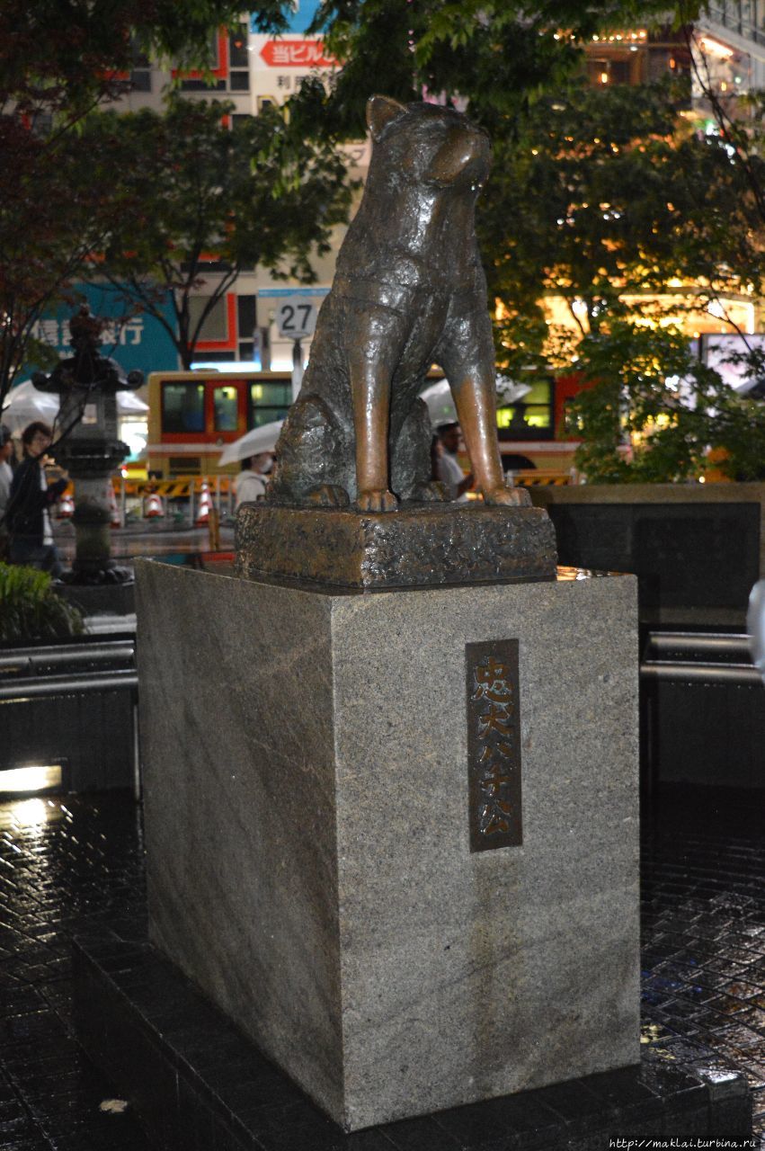Шибуя. Собака. Перекрёсток Токио, Япония