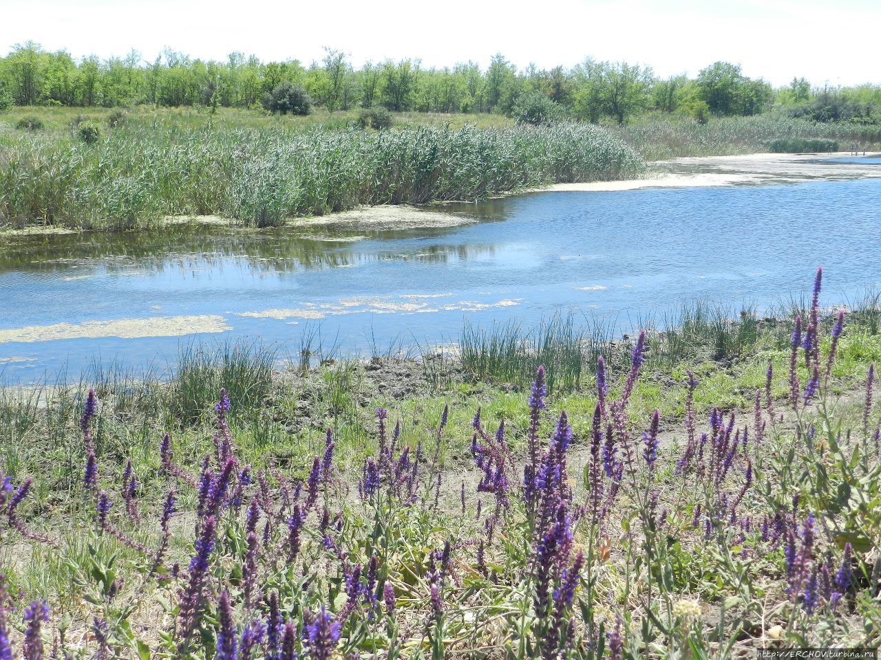 Степь: дороги, поля, курганы, половецкие бабы и монументы Херсонская область, Украина