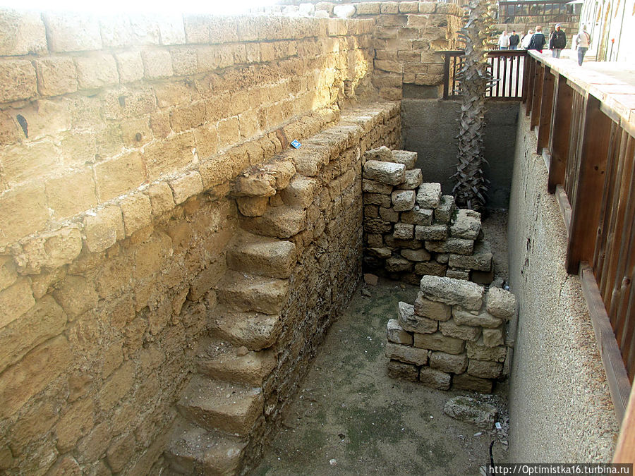 Кесария в декабре — продолжение экскурсии по древнему городу Кесария, Израиль