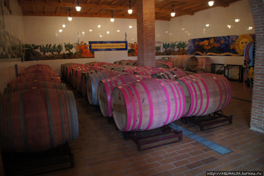 Abadia da cova предлагает вам возможность, что называется, из первых рук познакомиться с процессом производства этих элитных вин в сопровождении профессиональных виноделов. Галисия, Испания