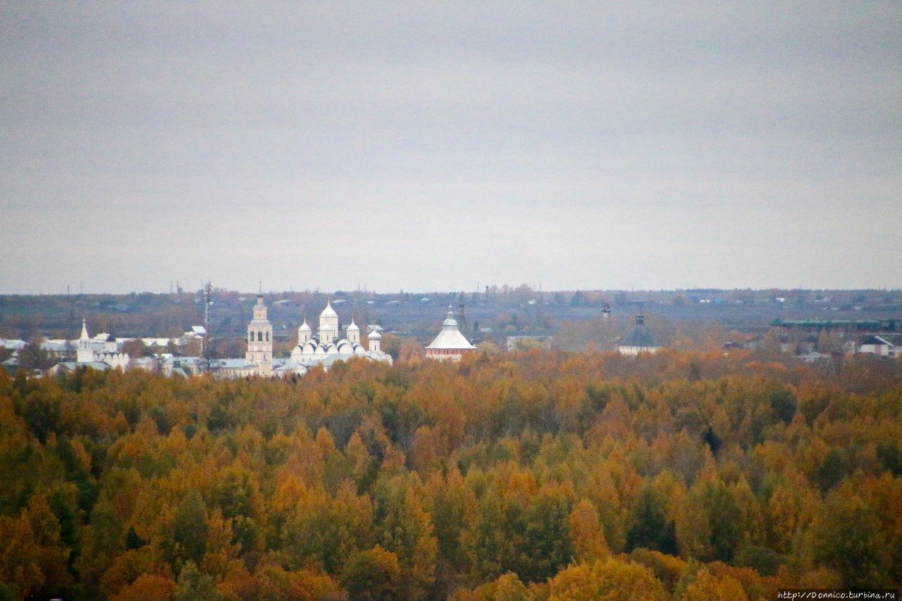 Колокольня Софийского собора (смотровая) Вологда, Россия