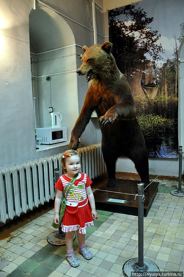 По давней-давней традиции первое фото в отделе с медведем. Именно этот символ Ярославля встречает всех гостей. Ярославль, Россия