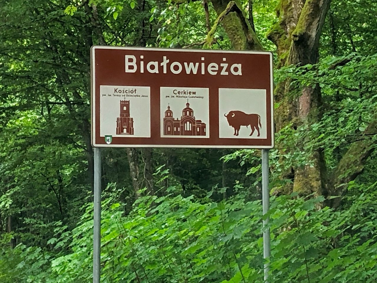 Резерват зубров Беловежский национальный парк, Польша