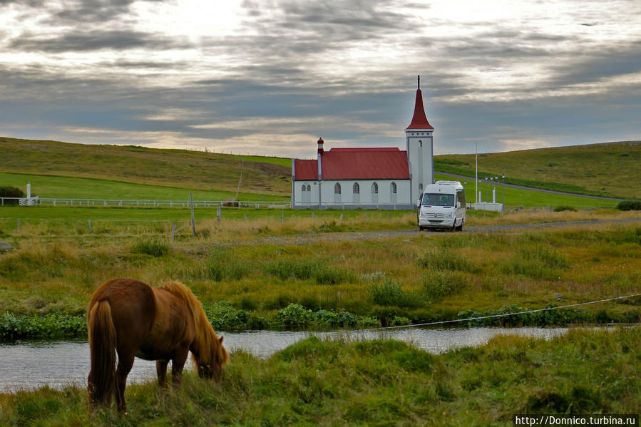 Ну, здравствуй, зеленая исландская лошадь! Исландия