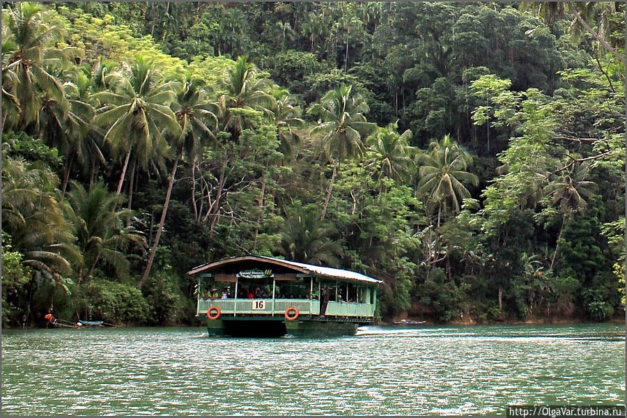 *Плавучий ресторан – это две соединенные вместе  лодки под крытой платформой, на которой может разместиться 50 человек