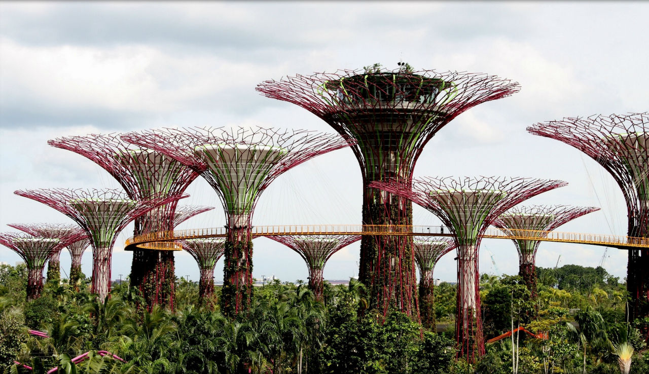 Воспоминания — Турбина 2013